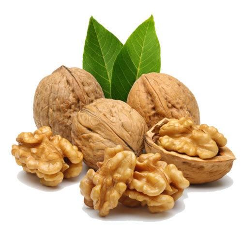 Walnut Best Price Common Walnut Nuts Top Class Walnut Kernels Dried Style Raw Waln AT Best Supplier Good Packaging Food - Image 6
