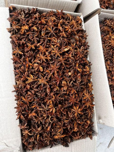 Autum Star Anise premium Broken Rate 9% Max Admixture Level 1% Max Color Natural Yellow Brown Moisture Content 13.5% - Image 1