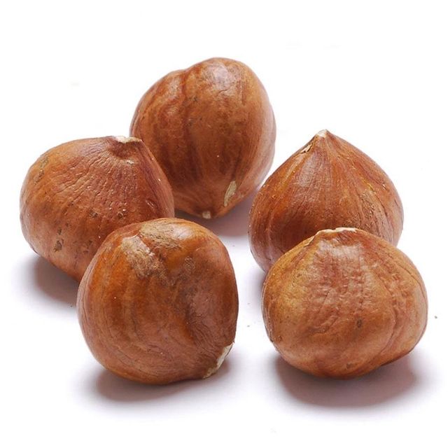 Farm Fresh Hazelnuts Wholesale Supply Natural Hazelnuts For Roasting Industry Chocolate Industry And Healthy Food Production - Image 2
