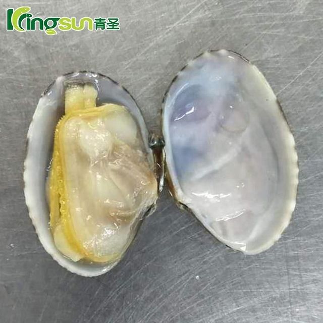 Frozen Cooked Short Neck Clams Premium Seafood Dish Style FROZEN Shelf Life 24 Address China Ingredients no Type - Image 4