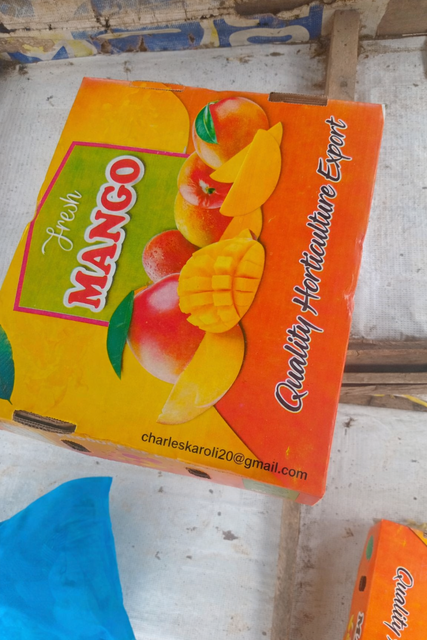 Herbs and vegetables Origin Kenya Aroma Aromatic Fiber Content Low Shape Apple-shaped Freshness Fresh From Farm Scientific Name Mangifera Indica - Image 4