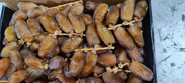DEGLET NOUR ALGERIAN DATES - Image 4