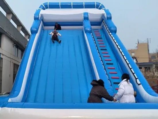 Custom Inflatable Water Slide for Adults and Kids Inflatable Slide - Image 6