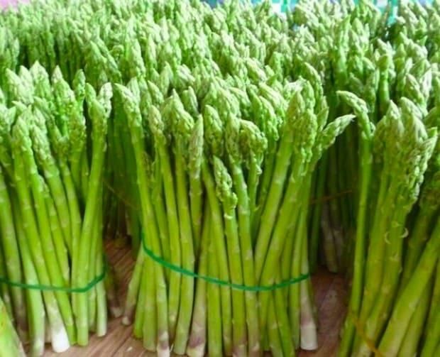 Frozen/ Fresh Asparagus Vegetables Wholesale From Vietnam - Whatsap 0084 989 322 607 - Image 4