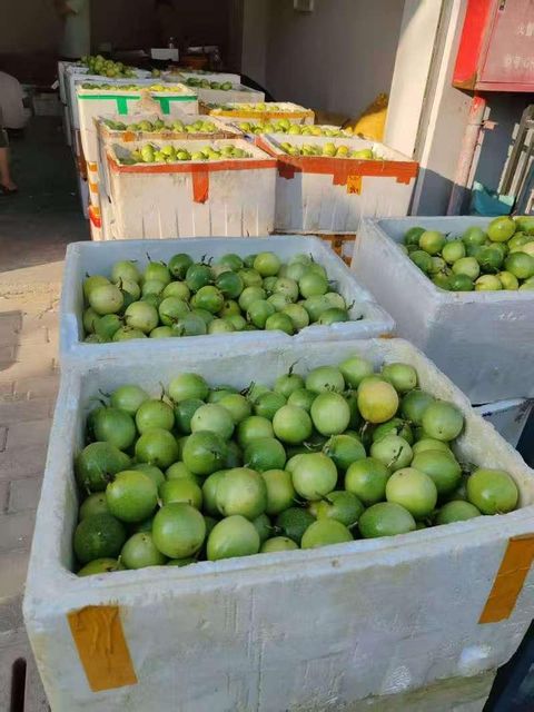 passion fruit - Image 2