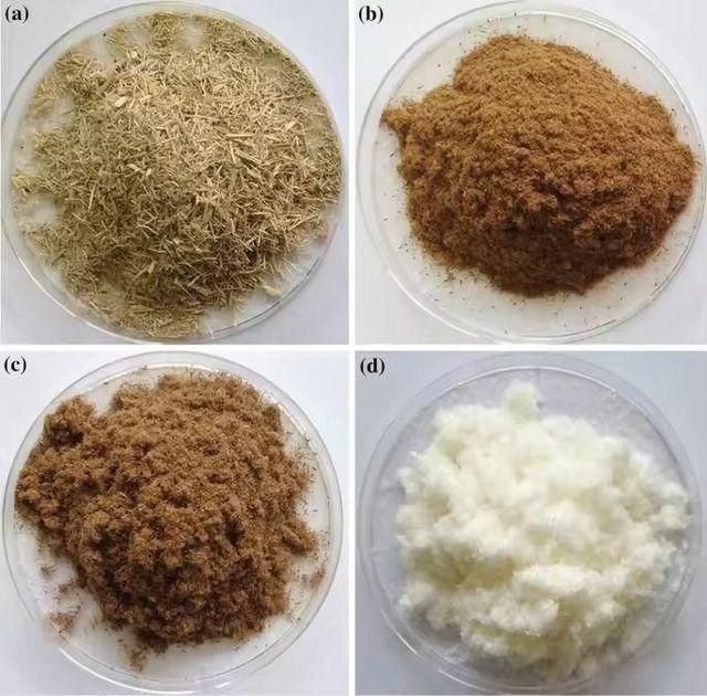 Natural Sugarcane Bagasse Powder - Image 4