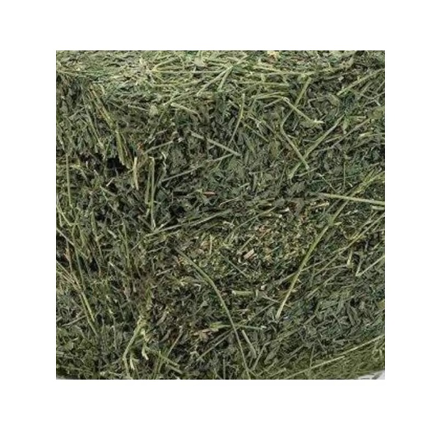 Premium Bulk Timothy Grass for Animal Feed Timothy Grass Fresh Hay Rich in Nutrients Protein and Fiber for Healthy Animals - Image 2