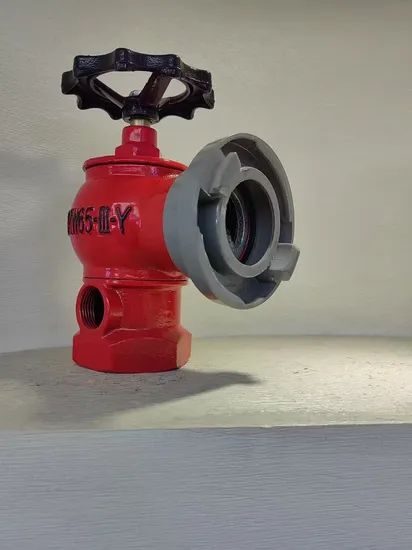 Fire Fighting Equipment and Accessories Hydrant System Valve Indoor Fire Hydrant - Image 4