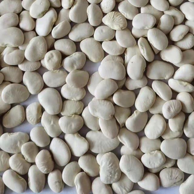 Factory Wholesale High Protein 25kg 50kg Bag White Bean Baifeng Kidney Bean Butter Bean - Image 3