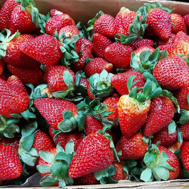 Fresh Strawberry 🍓 Fiber 2-3% Size Medium Sugar 5-10% Origin Global Moisture 90-95% Acidity 0.5-1.5% Vitamin C Rich - Image 2