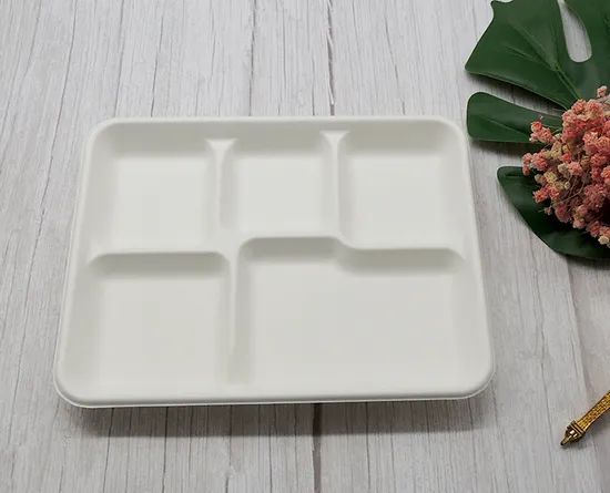 Hot Sale Rectangle 5-Compartment Plates Sugarcane Bagasse Food Tray - Image 6