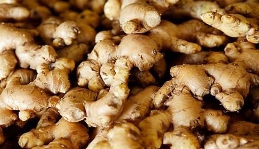 Premium Export Quality Ginger (Indian Origin) Aroma Strong Origin India Pungency High Shelf Life Long Oil Content High Product Type Spices - Image 1
