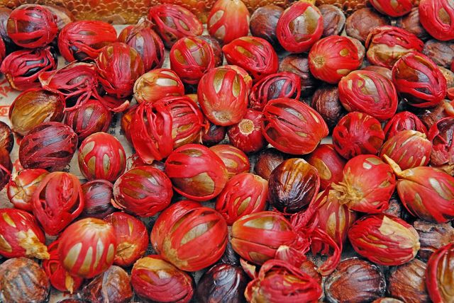 whole nutmeg Grade A Origin India Ph 5.5 – 6.5 Lead ≤ 2.0 Ppm Moisture ≤ 10.0% Total Ash ≤ 5.0% Cadmium ≤ 0.3 Ppm Arsenic ≤ 1.0 Ppm - Image 3