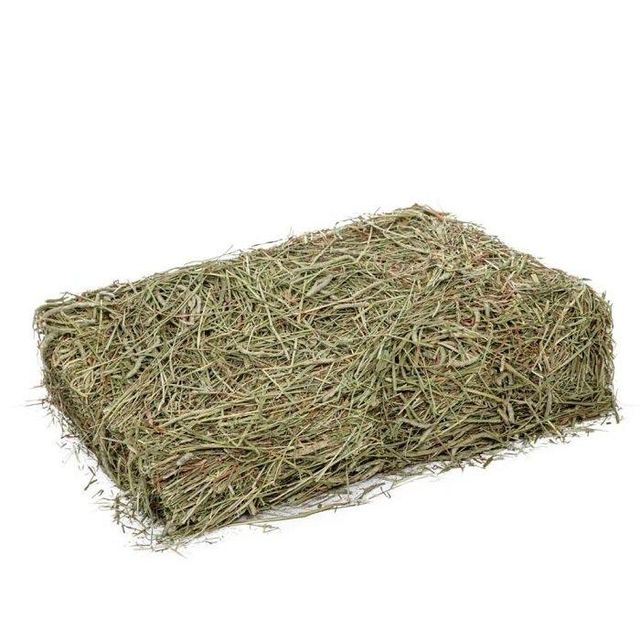 Trending Sale Wholesale New Best Quality Alfalfa Hay Timothy Hay and Bermuda Hay for Sale - Image 3