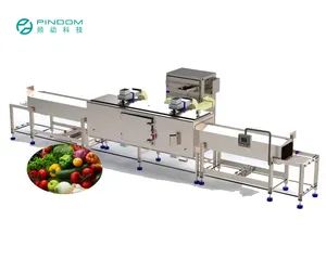 Customized Nuts Chemical Processing Drying Oven Machine Equipment - Image 2