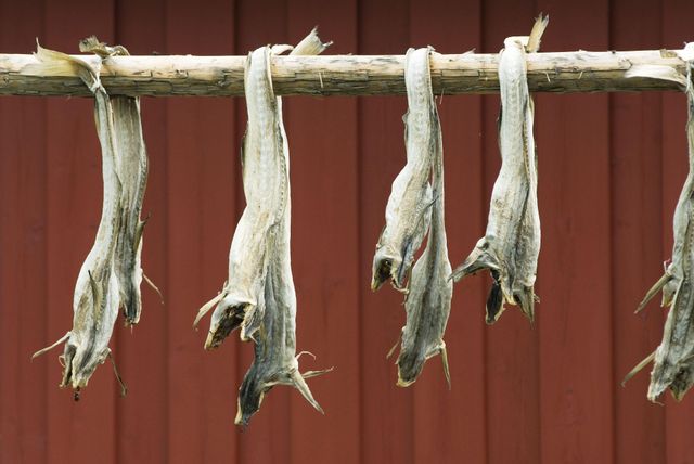 High Quality Dried Stockfish for Sale Dried Norwegian Stock Fish & Cod Heads/Cod and Dried Stock Fish Sizes Available - Image 4