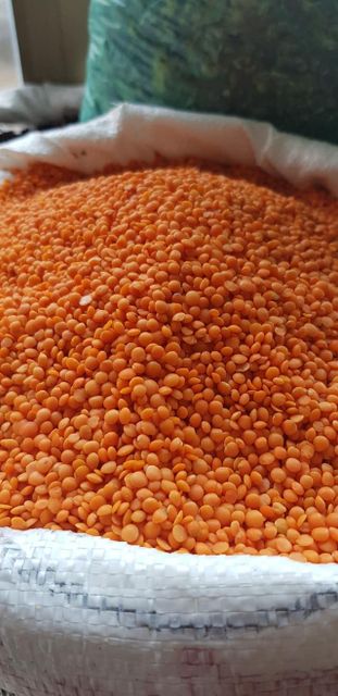 Premium Red Lentils – High-Quality, Organic & Nutritious Pulses for Cooking - Image 2