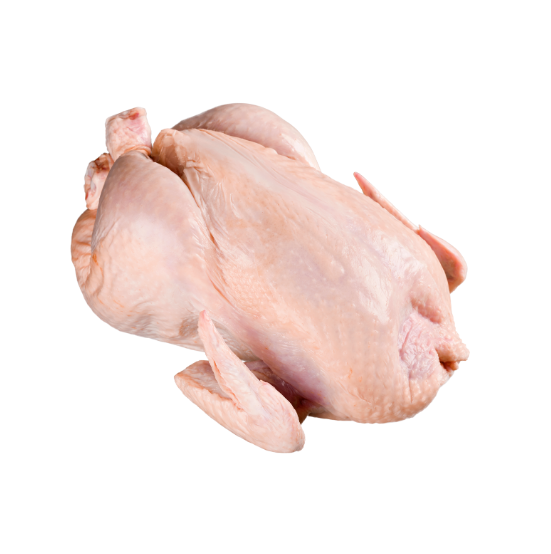 Whole Chicken Frozen / Halal Chicken Feet / Frozen Chicken Paws Brazil - Image 4