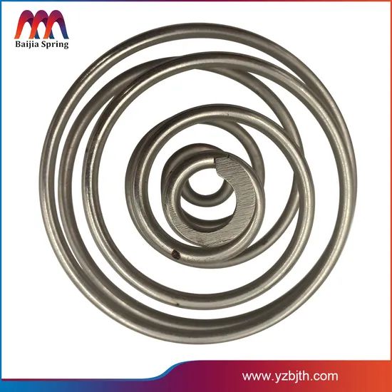 Customized Various Spring According to Your Requirement - Image 6