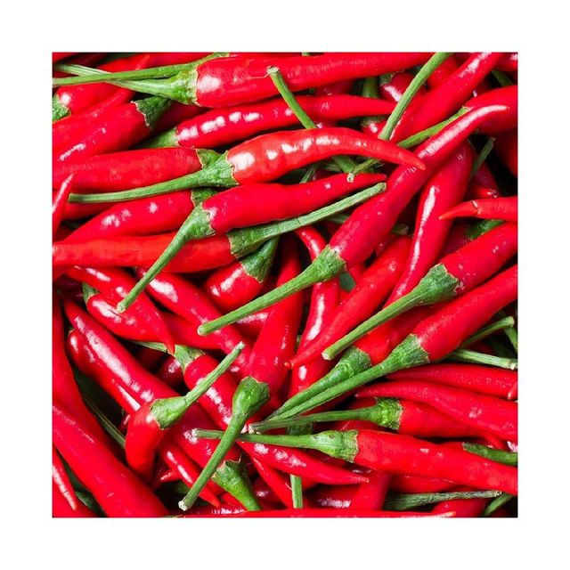 High quality Fresh Red Chili bulk supply cheap price fast delivery - Image 4
