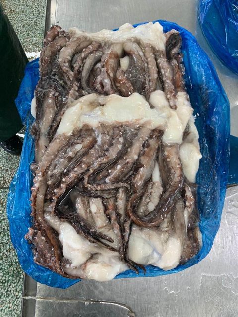 Cheap Frozen Indian Squid China Frozen Squid - Image 5