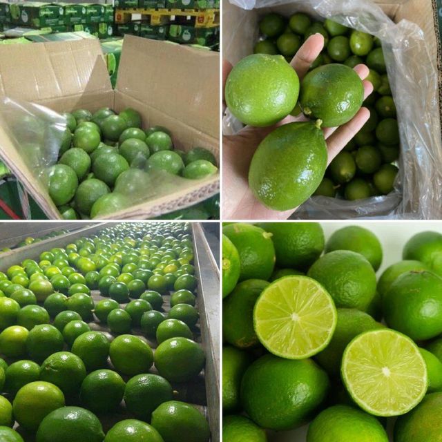 Seedless lemon includes 3 sizes type 1, made in Vietnam. Flavor Sour Texture Firm Primary Use Making Lemonade Place of Origin LONG AN, VIETNAM - Image 1
