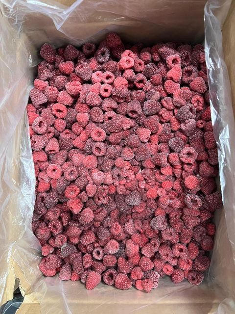 Wholesale Supplier Of Organic Frozen Raspberries in bulk Grade A Form Frozen Taste Sweet Texture Juicy Color Vibrant Shelf Life Up To 24 Months - Image 3