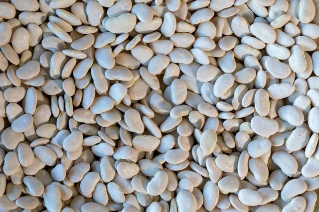 Highest Quality Dried White Lima Beans Premium 100% Natural 50kg Bulk Supply - Image 3
