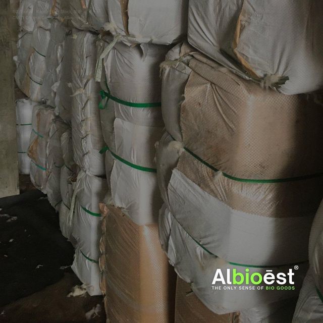 Kapok Fiber Origin Indonesia Type Natural Fiber Density ~0.35 G/cm³ Color White Yellowish Max. Moisture (%) 12% Moisture Regain ~8–12% - Image 3