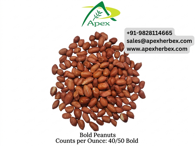 Bold Peanut 4050, Bold Peanut 40 50,Peanut, Peanuts, Arachis hypogaea, Bold Peanuts Kernels, Bold Peanut, Indian Bold Peanut, Indian Bold Peanuts, Peanuts Kernels, Peanut With Shell, Peanuts,Indian Peanut, Bold Peanut Supplier From India. - Image 1