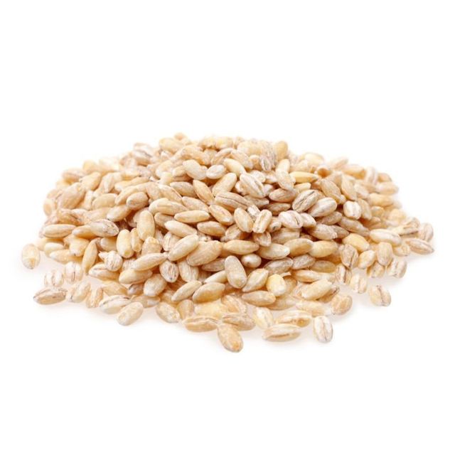 Organic Barley For Animal Feed Mixed With Barley Seeds For Livestock Health And Sustainable Farm Practices - Image 3