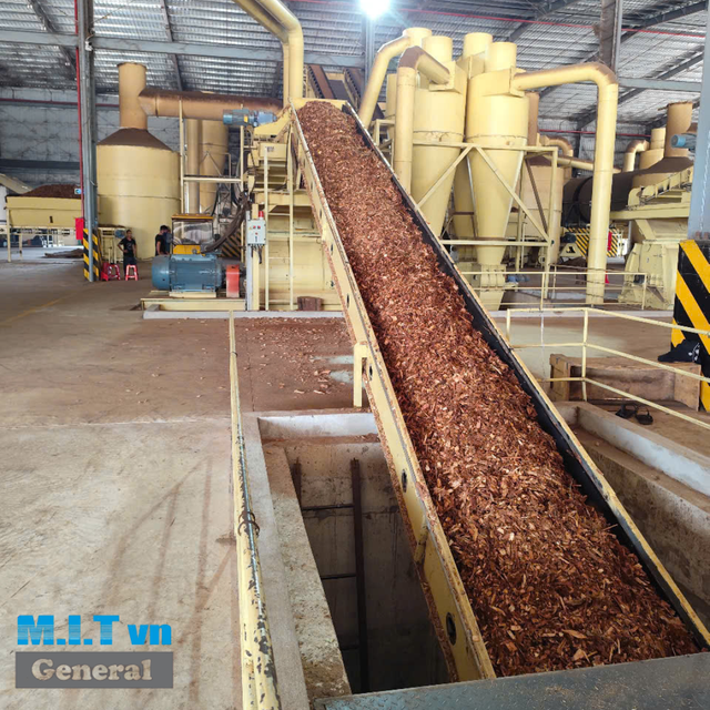 Vietnam Factory Acacia Wood Chips For Paper Pulp - Image 3