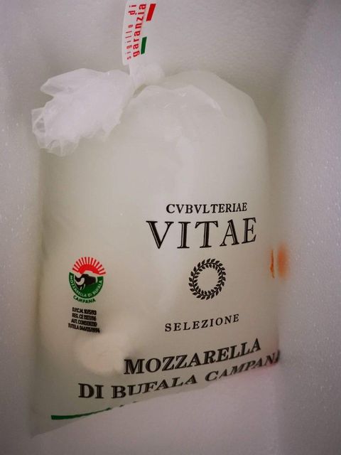 Italian Mozzarella Cheese Vitae Handmade Mozzarella Di Bufala Unripened Cheese Dop 500G Original Cheese - Image 3