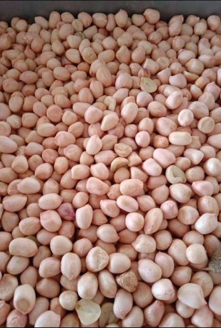 Groundnuts Oil Content 45–52 % Carbohydrates 15–20 % Moisture Content ≤ 8 % Protein Content 25–30 % Groundnut Oil Ffa ≤ 0.5% - Image 3