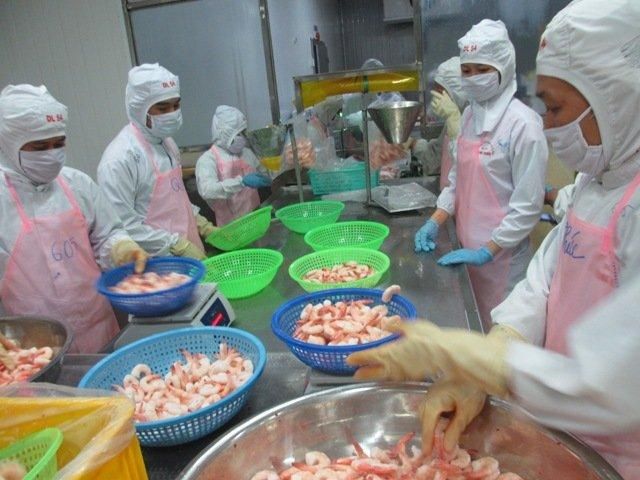 Cooked Vannamei Shrimp PDTO - Image 3
