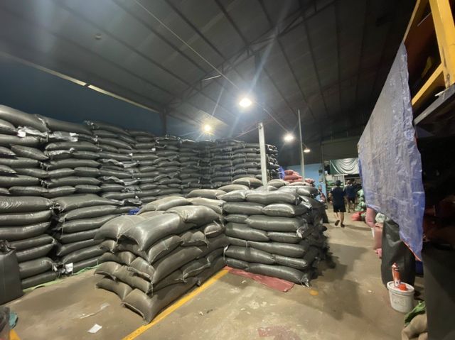 Robusta Coffee Beans Export Standard Feature Neutral Taste Bag Coffee Robusta - Raw Coffee Beans / Made in Viet Nam - Image 3