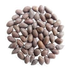 High-Quality Cotton Seeds for Oil, Feed & Planting | Premium Gossypium Seeds - Image 4