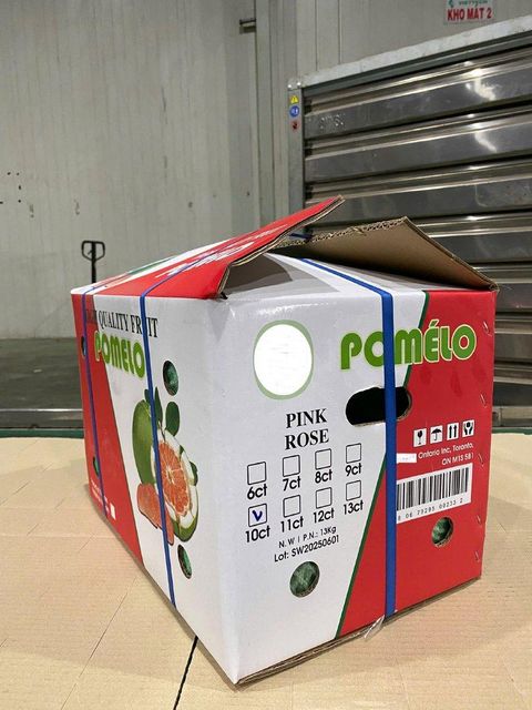 Fresh Pink Pomelo Seed Content Low Manufacturer TIGIFIMEX Color Vibrant Pink Flesh Storage Temperature Plus 8°c Packing Size 13 Kgs Per Carton - Image 4