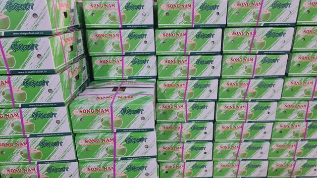 Song Nam Fresh Young Coconut in Vietnam Size 700-1200g Shelf Life 2 Months Season Whole Year Round Place of Origin Viet Nam - Image 3