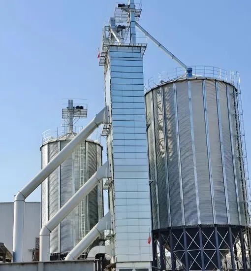 Conical-Bottom Metal Silos Grain Bins for Sale - Image 4