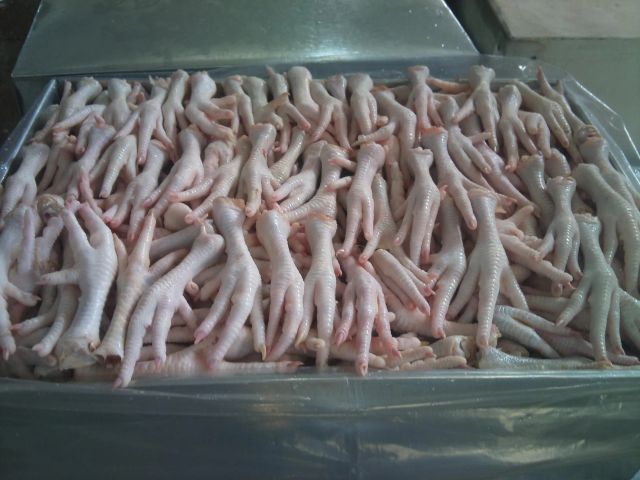 High Quality Halal Frozen Chicken Paws and Feet with Vitamins in Box Packaging BQF Process Top Grade 12 Month For Sale - Image 1
