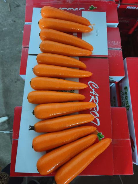 2026 Wholesale Fresh Carrot Cheap Price Exporters High Quality Vegetables New Fresh Carrots Hot Sale Product Made in China - Image 6