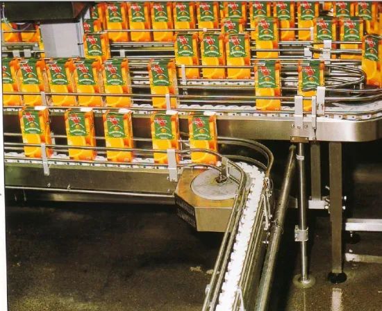 1701 Tab Plastic Transmission Conveyor Chains - Image 4