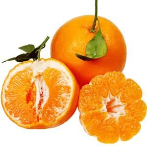 Orange Fresh Tangerine sweet juicy Citrus fruits Color Orange Size 8-10cm Diameter Weight 80-100g/piece Texture Tender, Juicy, Crisp - Image 3