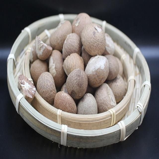Supply High quality dried Betel Nut from Vietnam raw material fast delivery time best price – product photo 5, product detail gallery
