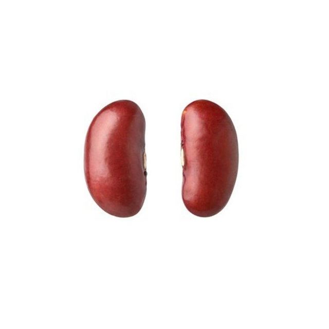 Red Kidney Bean wholesale cheap price bulk supply fast delivery - Image 2