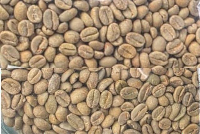 Green Coffee - Image 1