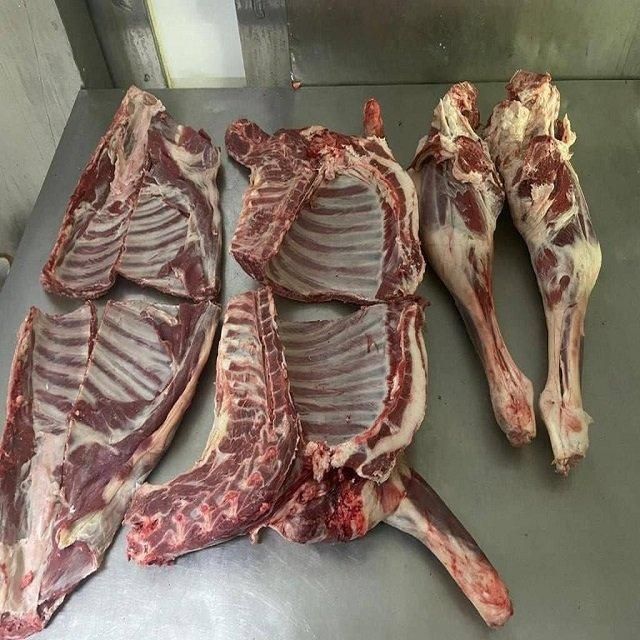 High Quality Frozen Beef Carcass with Excellent Meat Yield for Retail Chains Catering Businesses - Image 3