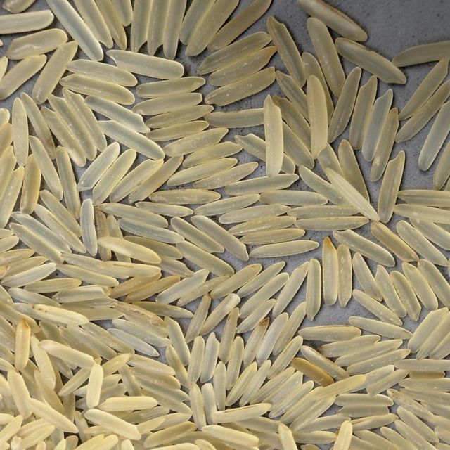 1121 Golden Rice Origin India Product Type Cereals & Cereal Products, Fine Foods, Rice - Image 3