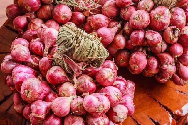 Fresh Onions Supply Featuring Firm Quality Fresh Appearance And Versatile Culinary Use For Retailers Restaurants - Image 5